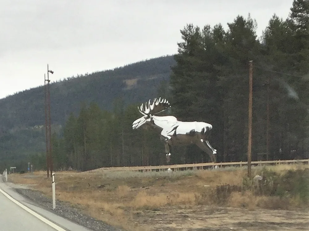 Storelgen, den blanke elgstatuen i stål, sett fra riksvei 3 med furuskog og åsen bak